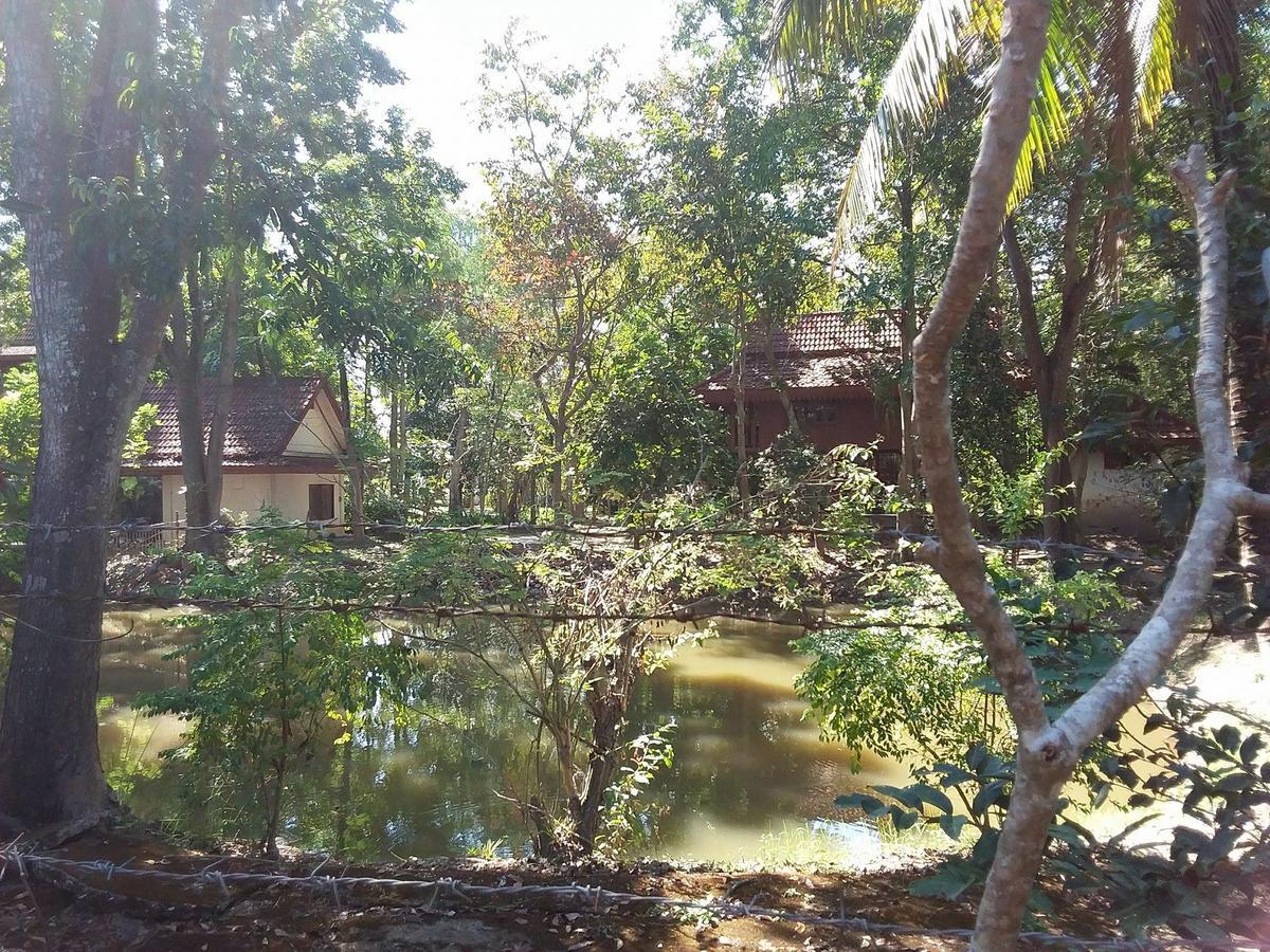 Your Home In Mae Rim Ban Muang Pha Exterior foto